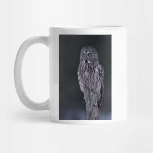 Great Grey Owl Mug